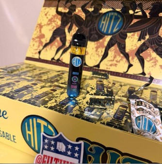 Hitz Infinity Gladiator Edition 2G disposable vape 25 pack variety box premium collection