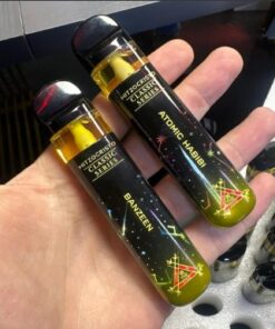 HitzOcristo 2G Disposable Vape Classic Series 2 gram device with sleek design and premium packaging