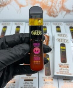 Hitz Zeus Series 2g Disposable Vape